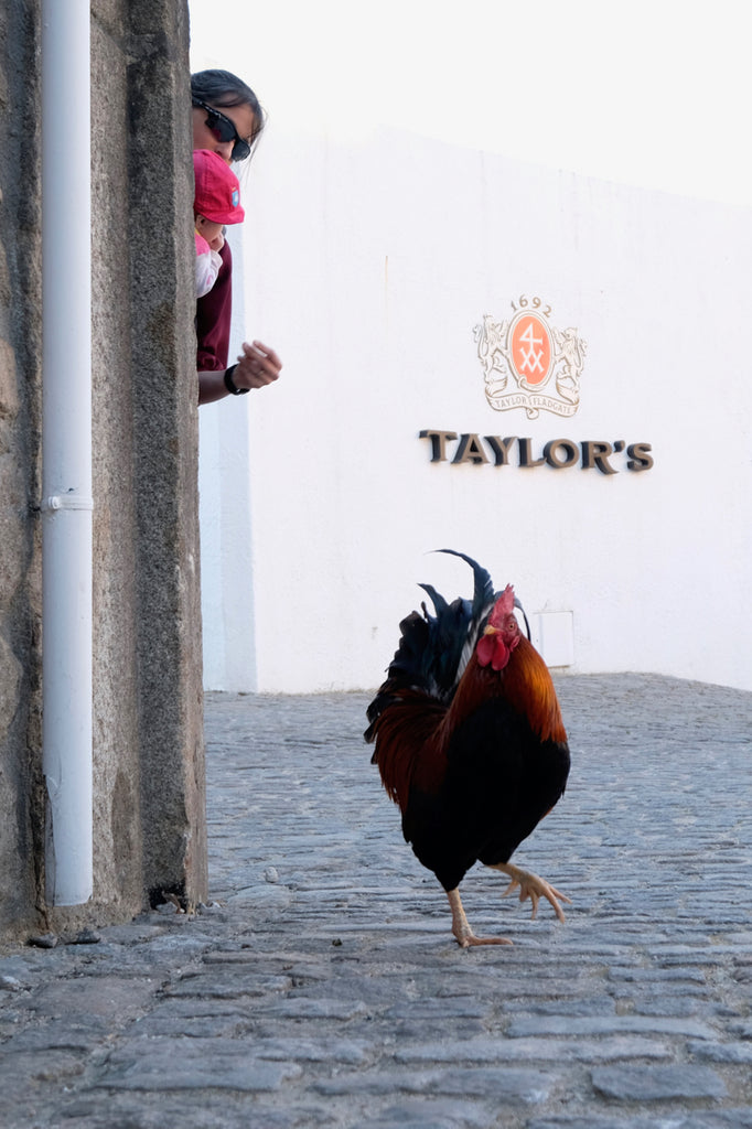 Day 22: Portamelia Tasting